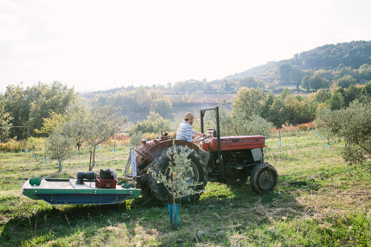 Поместье Les Pastras: в гостях у Лизы и Йоанна Пепан - olive makers